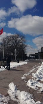 Detroit: Downtown & Hockey